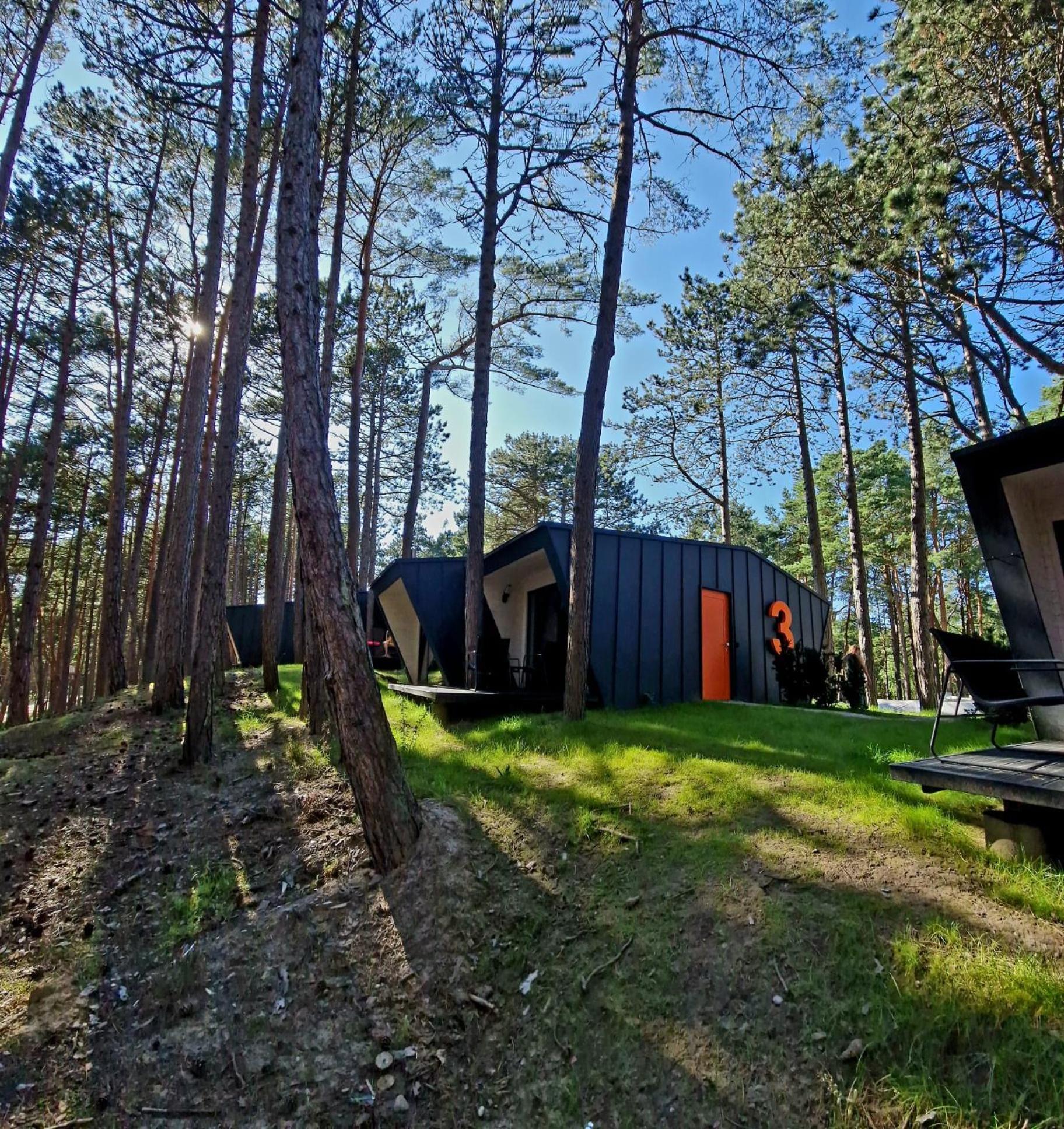 Villa Fly House Łeba Extérieur photo